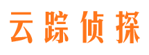 平南侦探公司